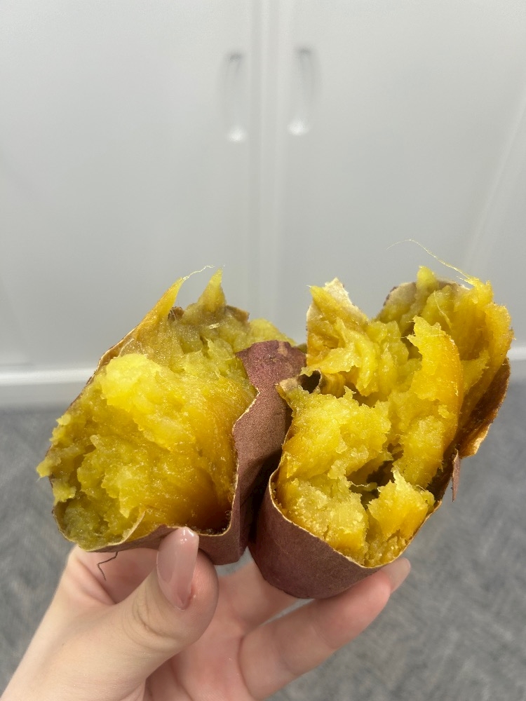 一条 葵