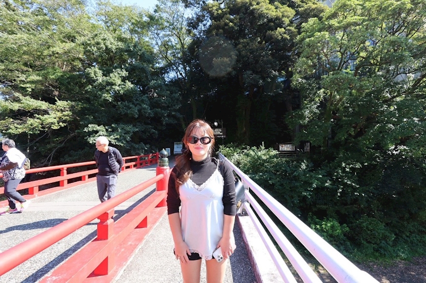 一条 葵