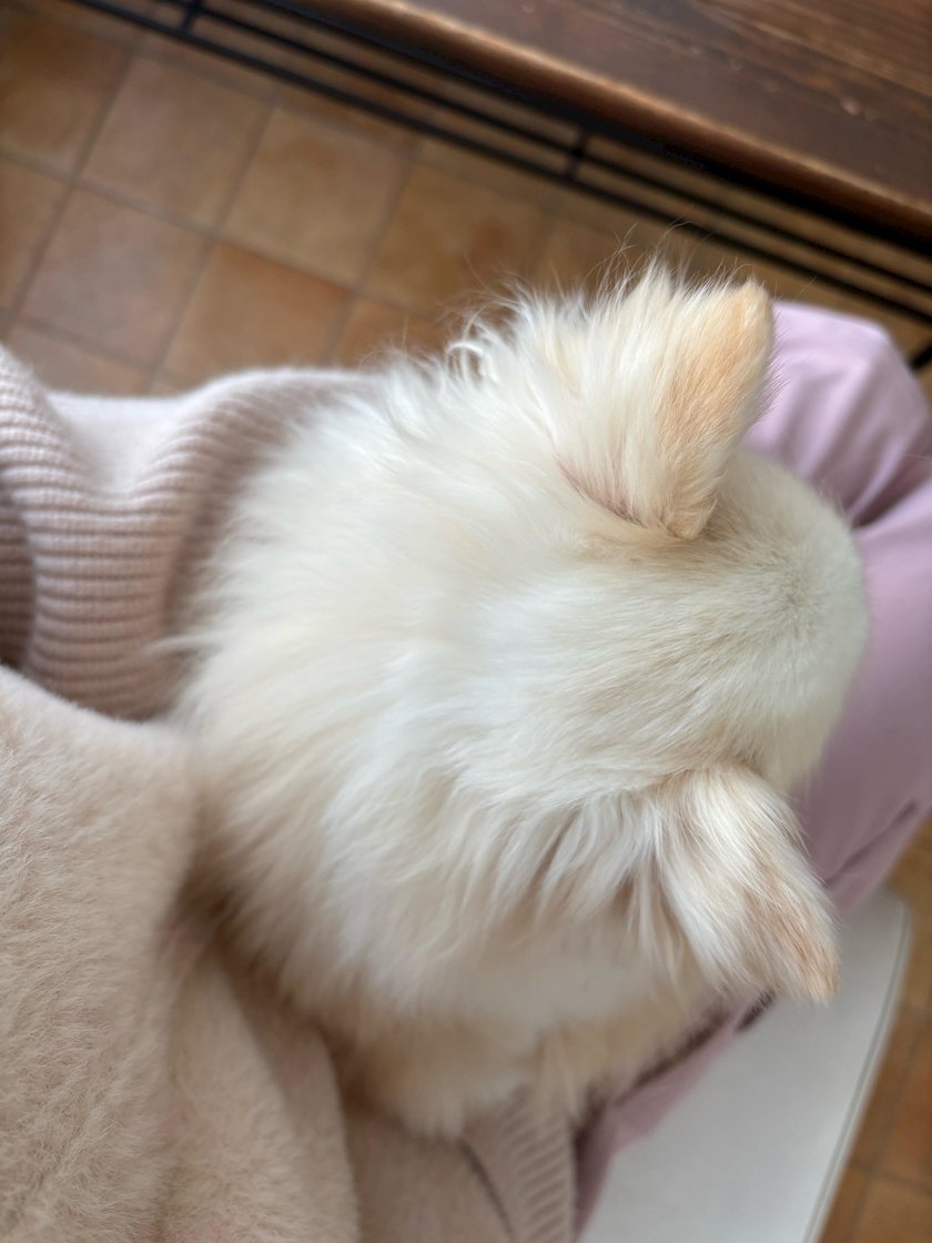 CLUB HANAN 守山店日記1555082