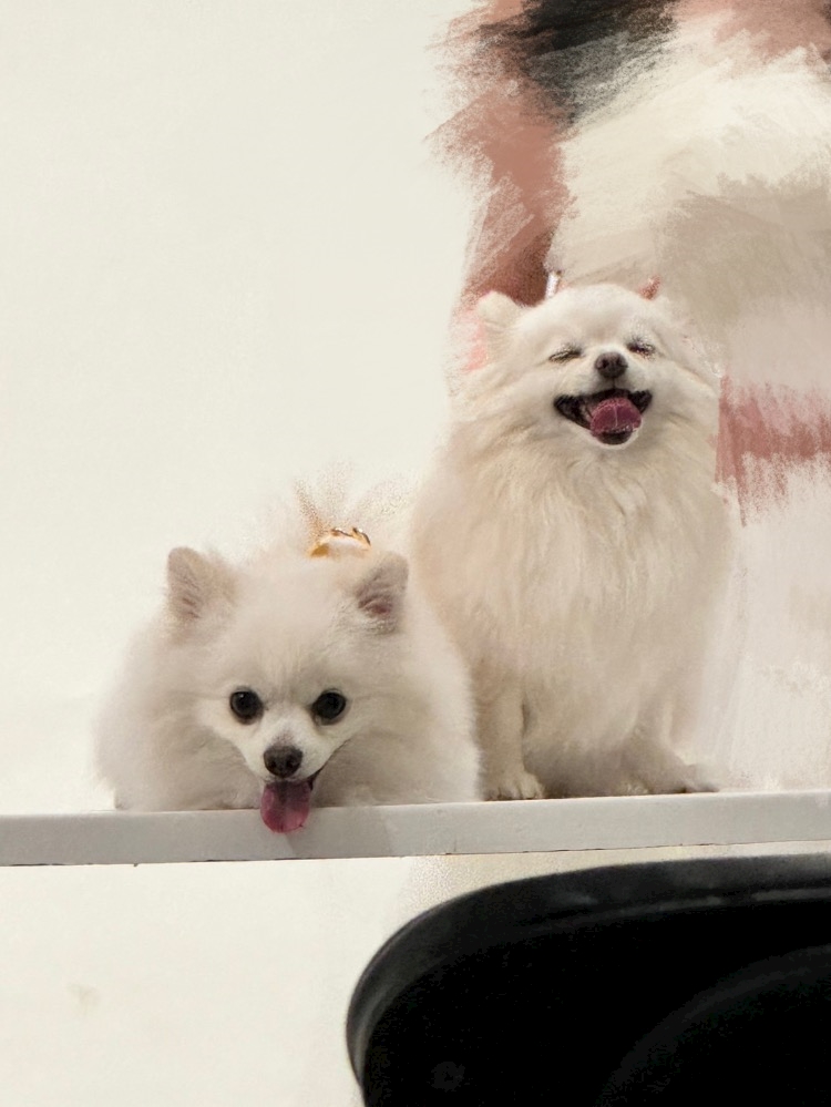 ママ七瀬　あや