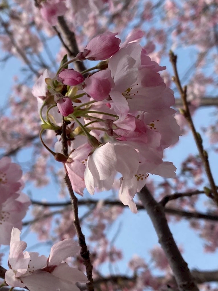 CLUB ONE CHAN -ミナミ宗右衛門町店-日記1626192