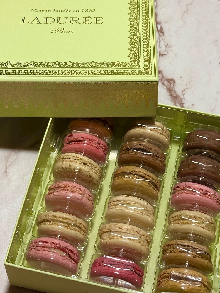 クラブカゲロウ・錦日記1535534