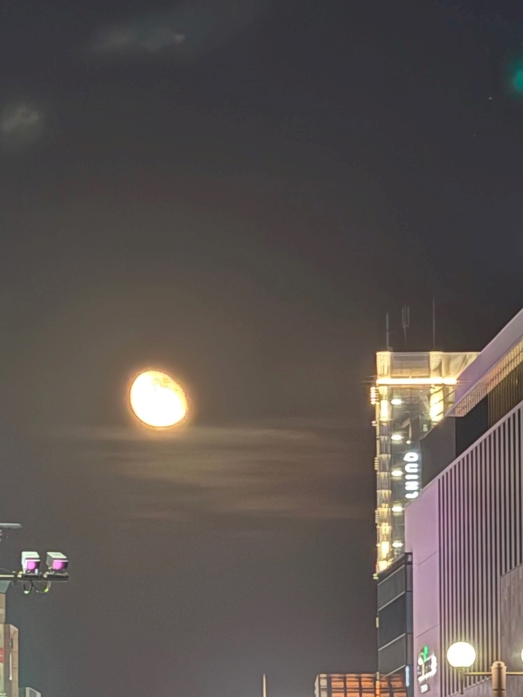 NIGHT CLUB HALO 天文館日記1486529