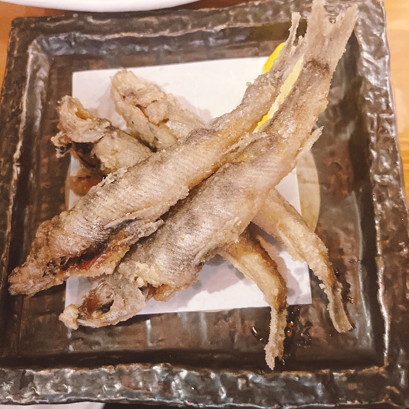 一条 葵