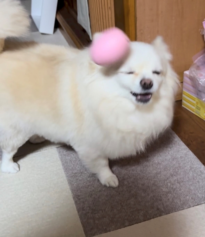 ママ七瀬　あや