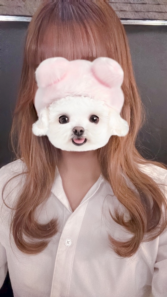 すいようび！！