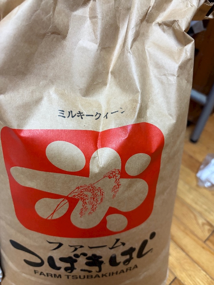 一条 葵