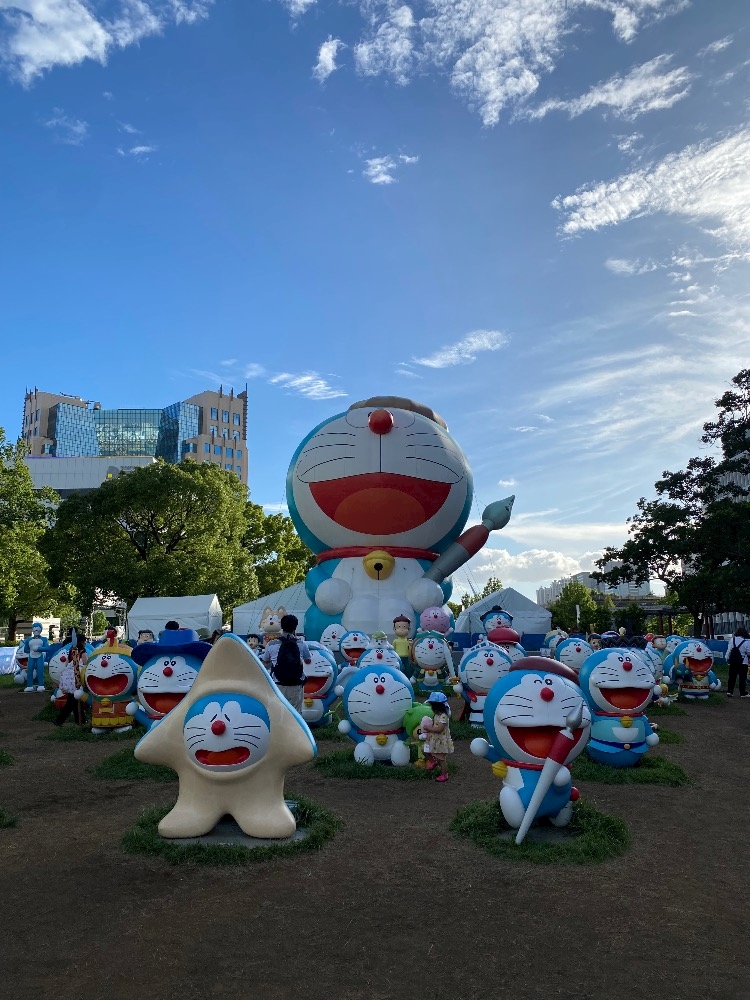 一条 葵