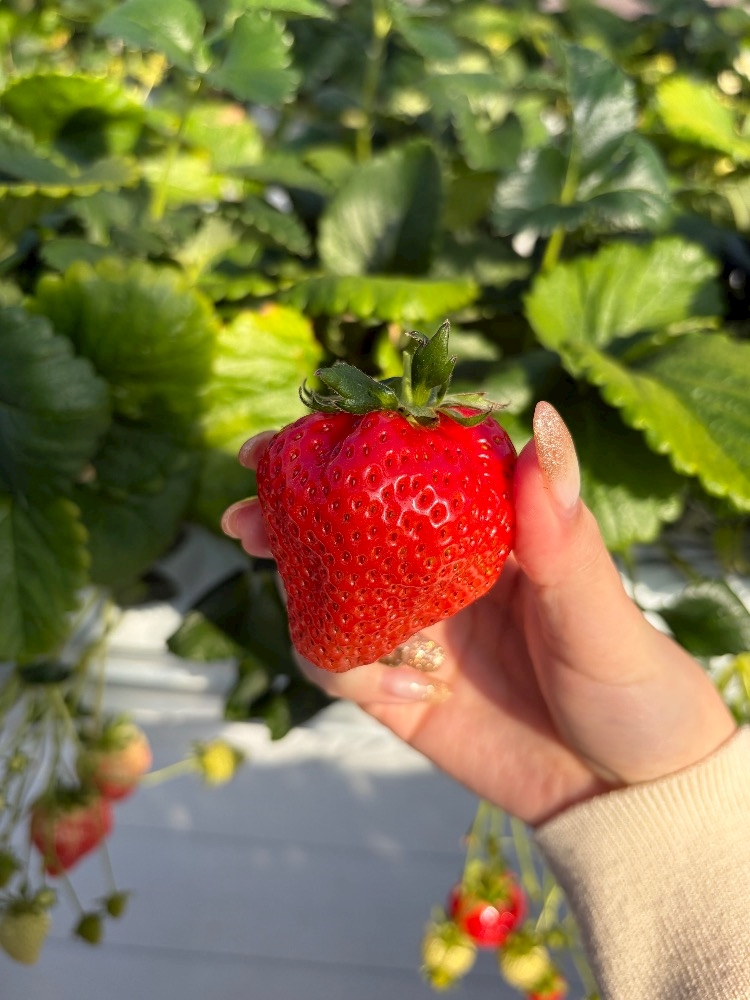 クラブグリム・小牧店日記1609086