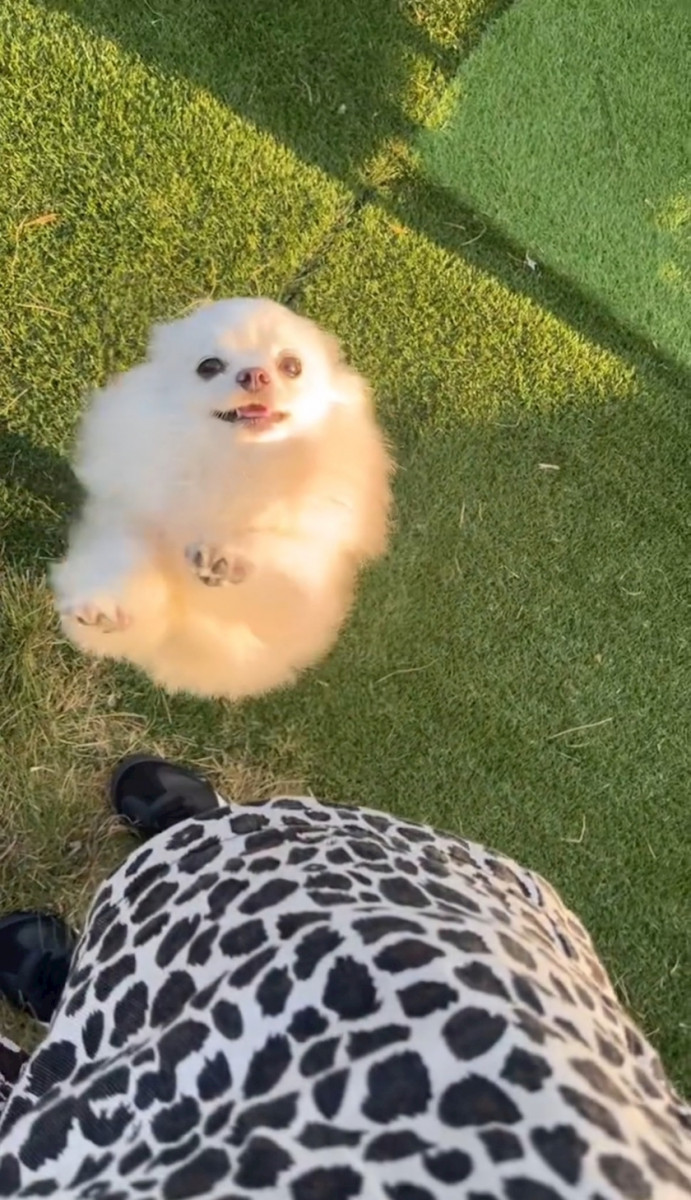 ママ七瀬　あや