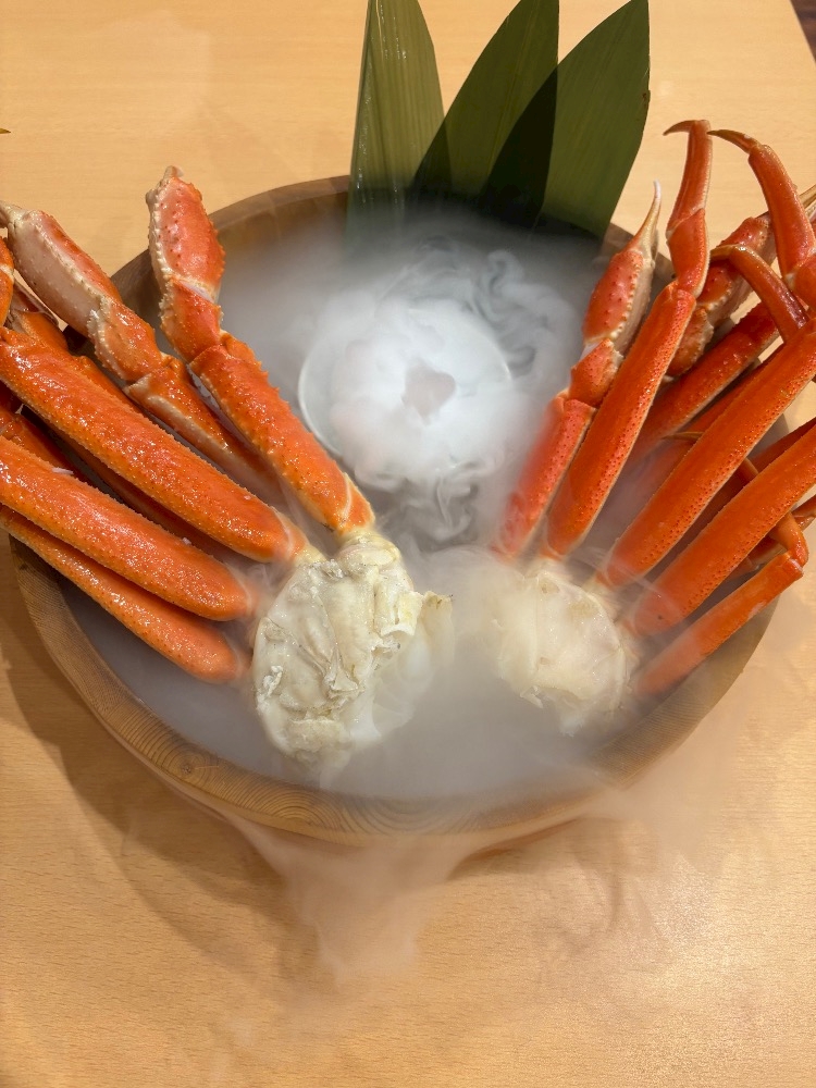 西船橋 VELLUGUE日記1556958