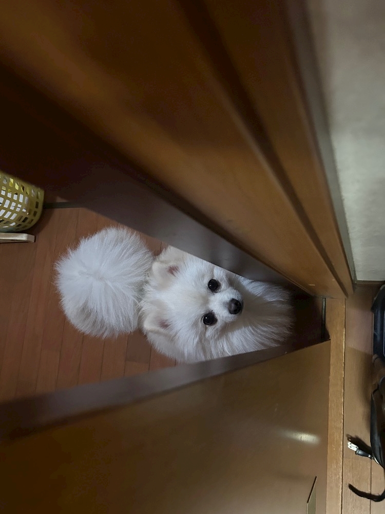 ママ七瀬　あや