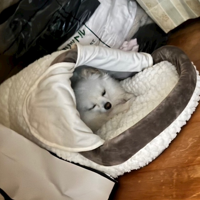 ママ七瀬　あや