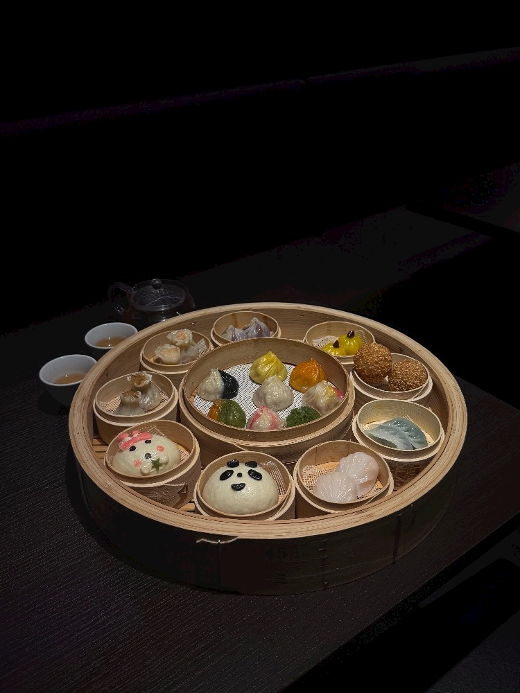 一条 葵