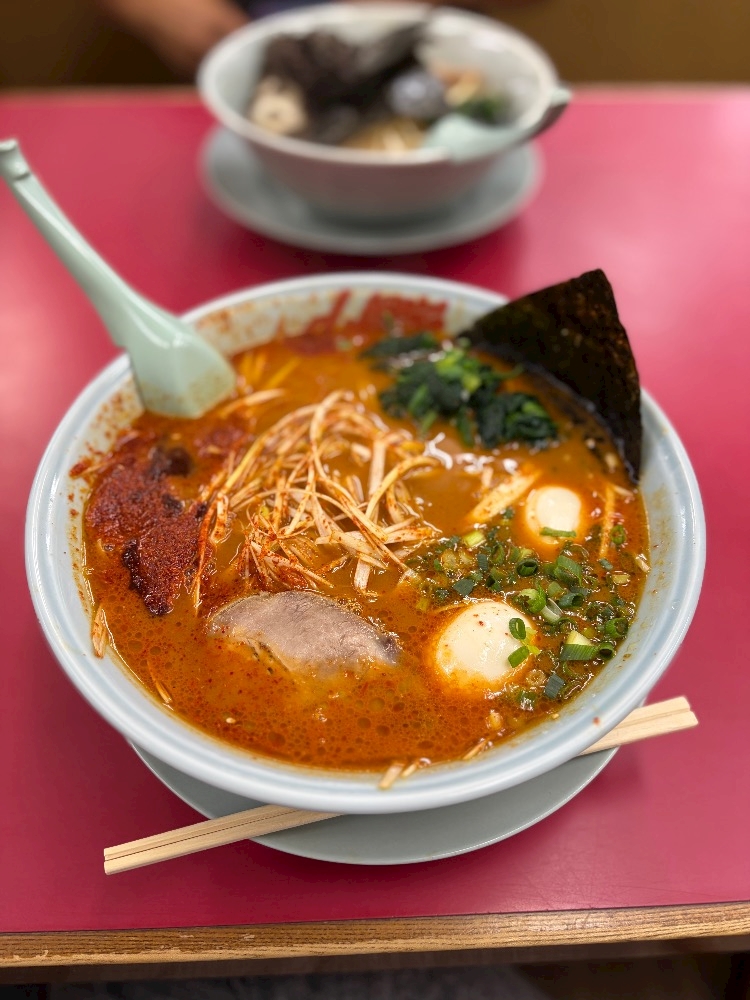 一条 葵