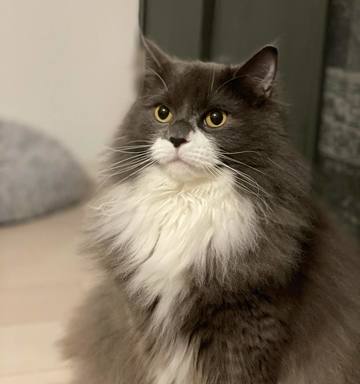 . . . 本日はおやす･･･