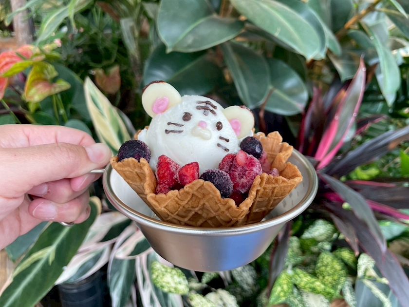 CLUB HANAN 守山店日記1649519