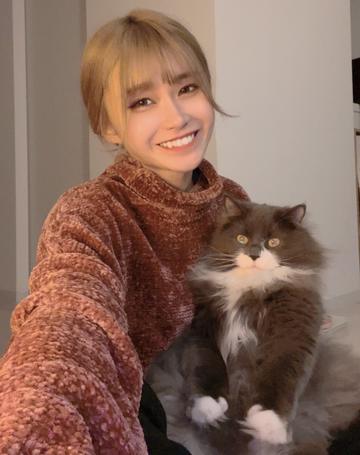 もふもふのお友達