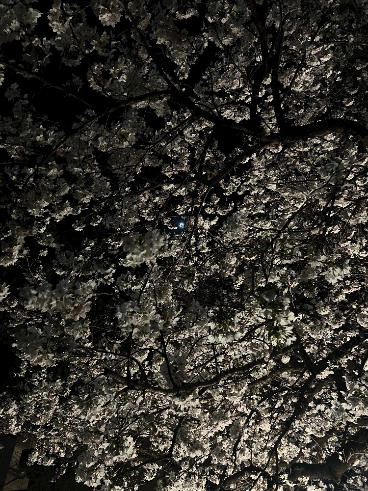 CLUB ONE CHAN 梅田堂山店日記1628462