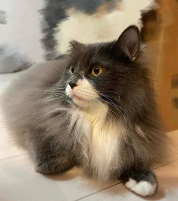 小次郎くんはじめてよサロ･･･