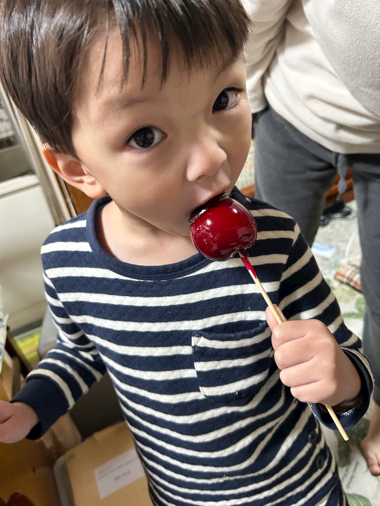 WISTERIA日記1518665