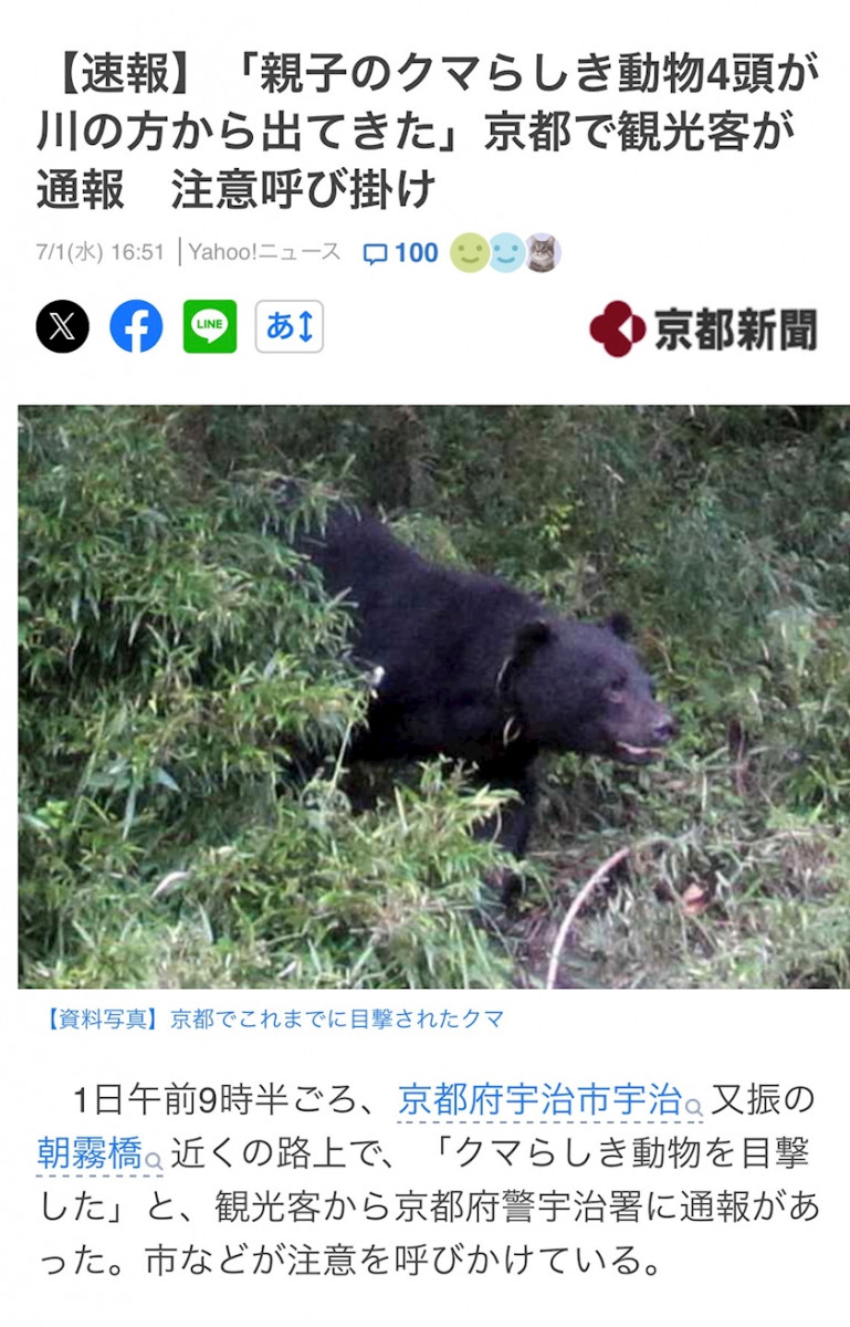 一条 葵