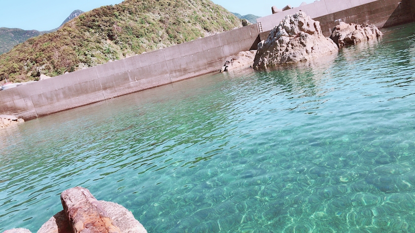 昨日は二日酔いすぎてブログの更新できなかったです。すみません