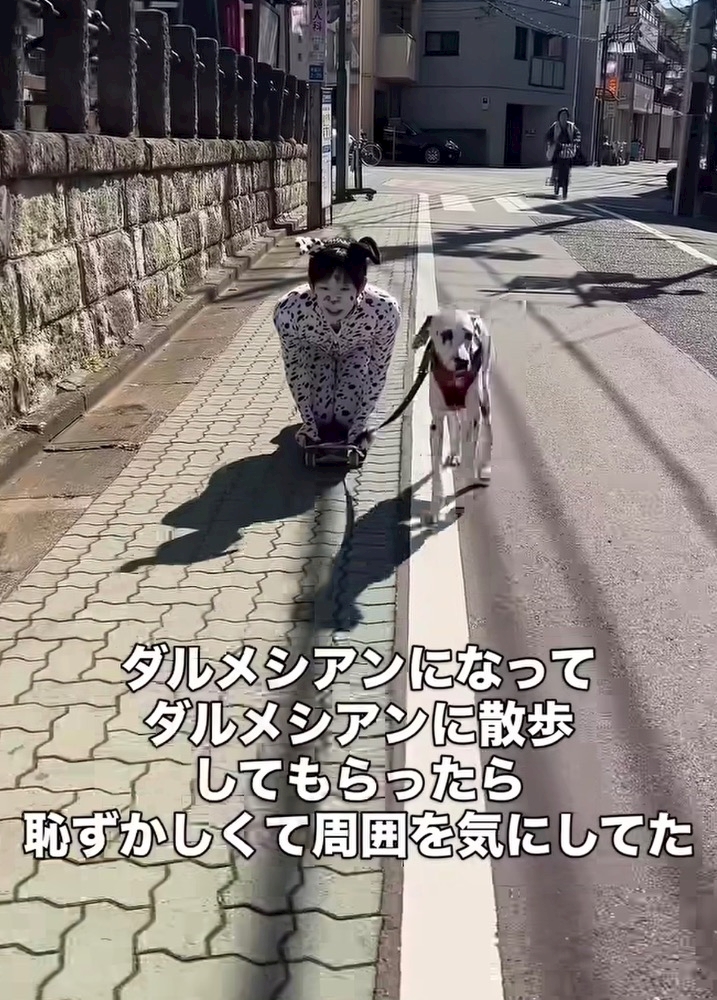 一条 葵