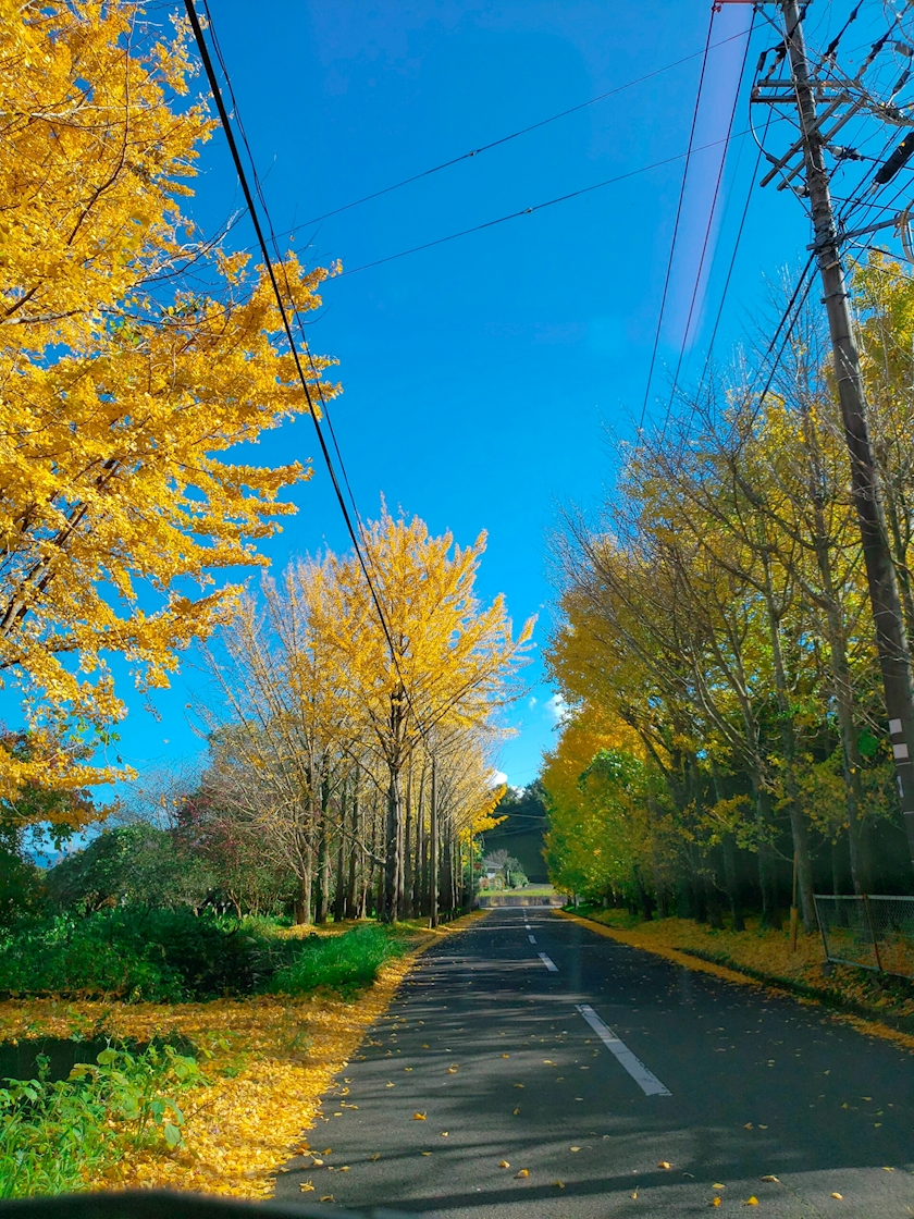 NIGHT CLUB HALO 天文館日記715841