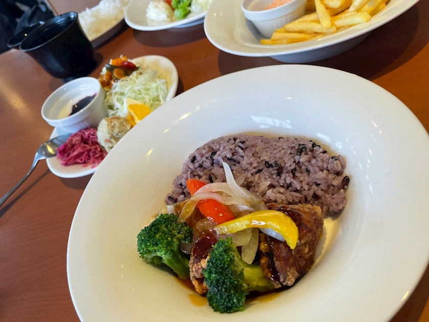 トレーニング日和