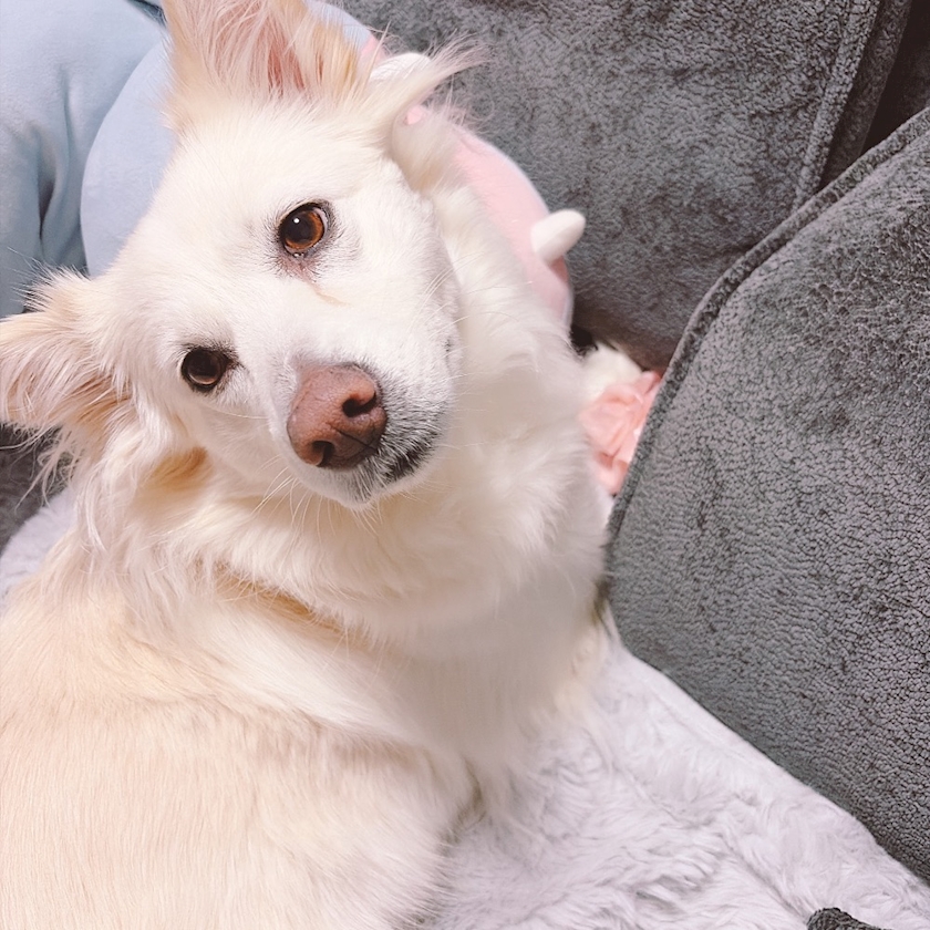 クラブグリム・小牧店日記1628549