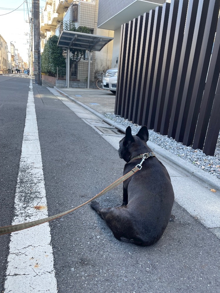 西船橋 VELLUGUE日記1565776