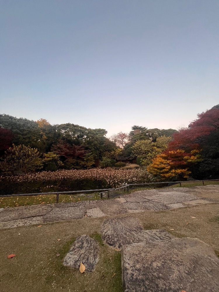 一条 葵