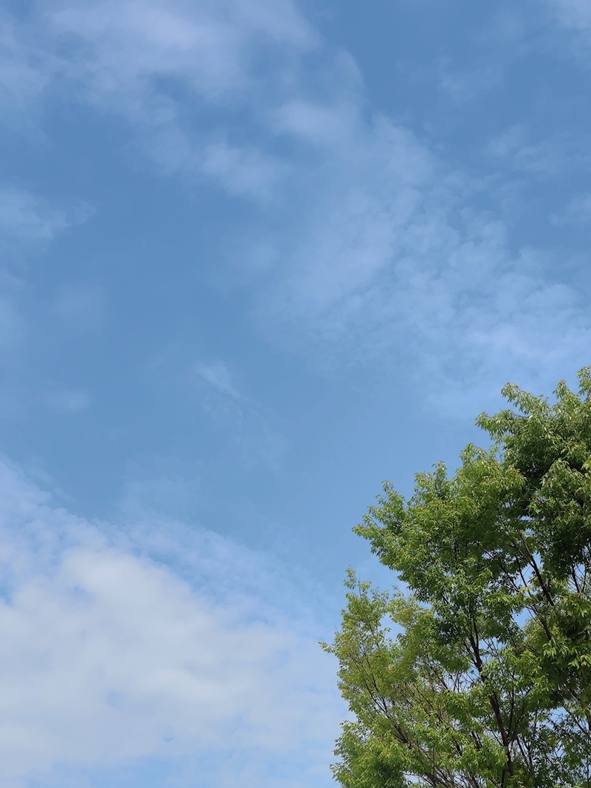 Bar Lounge 莉音　彦根駅前店日記1642999