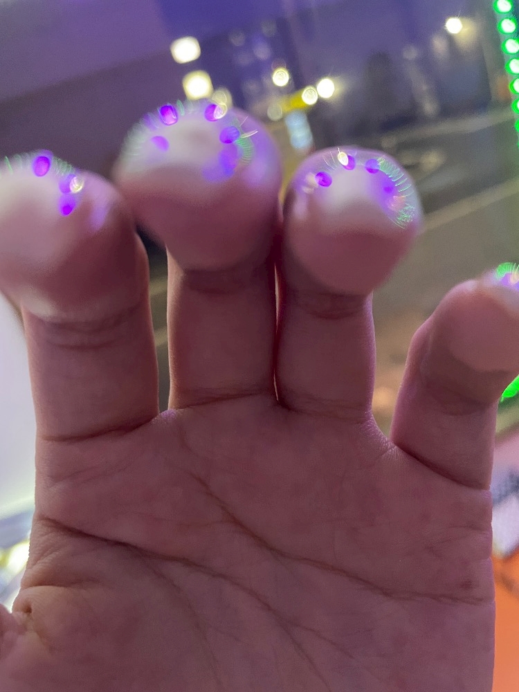 一条 葵