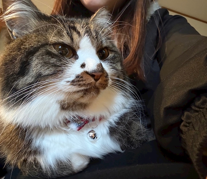 CONTINENTAL CLUB日記1597544