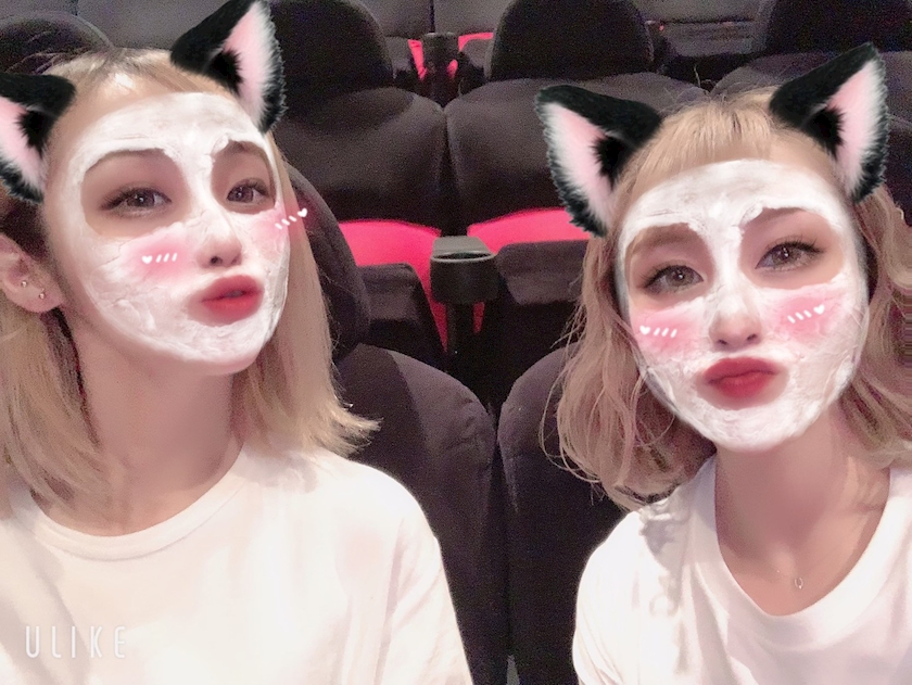 20:30~頑張るます🐶