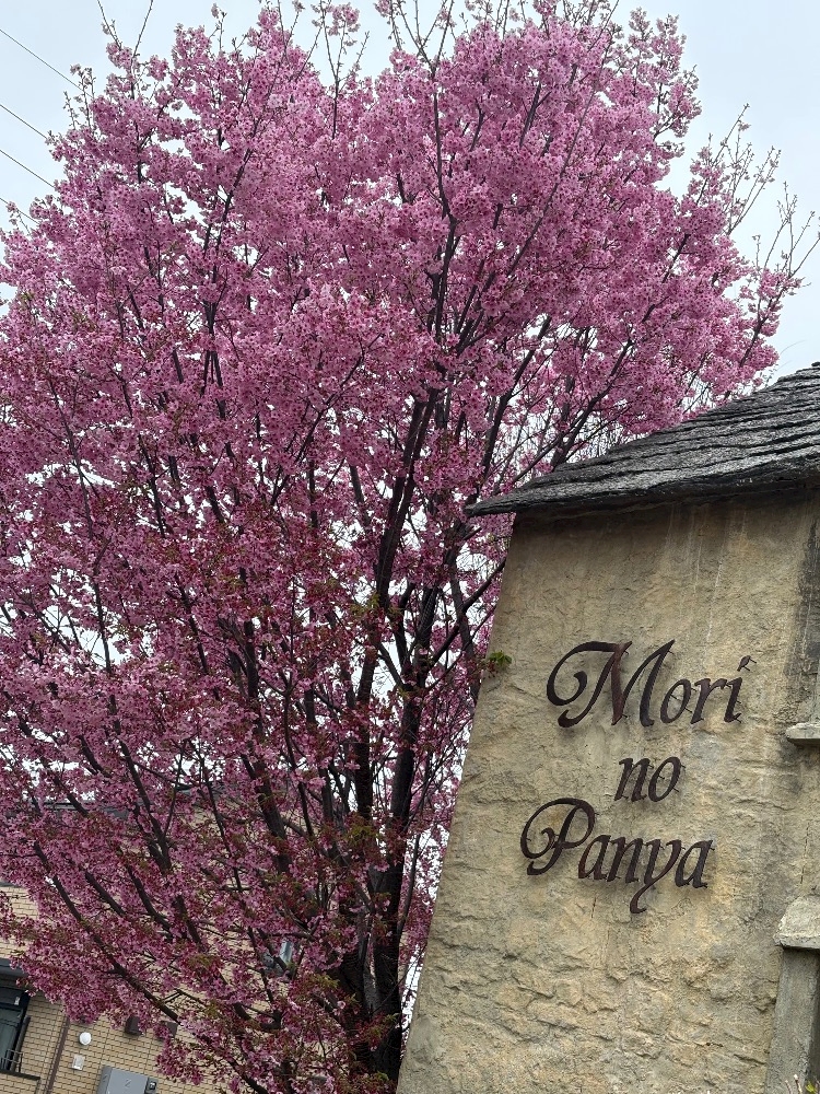 CLUB IDENTITY日記1630151