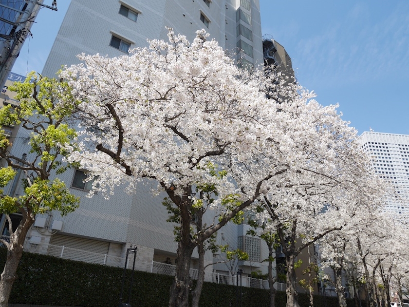 non-non日記1631467