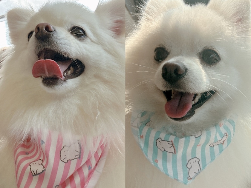 ママ七瀬　あや