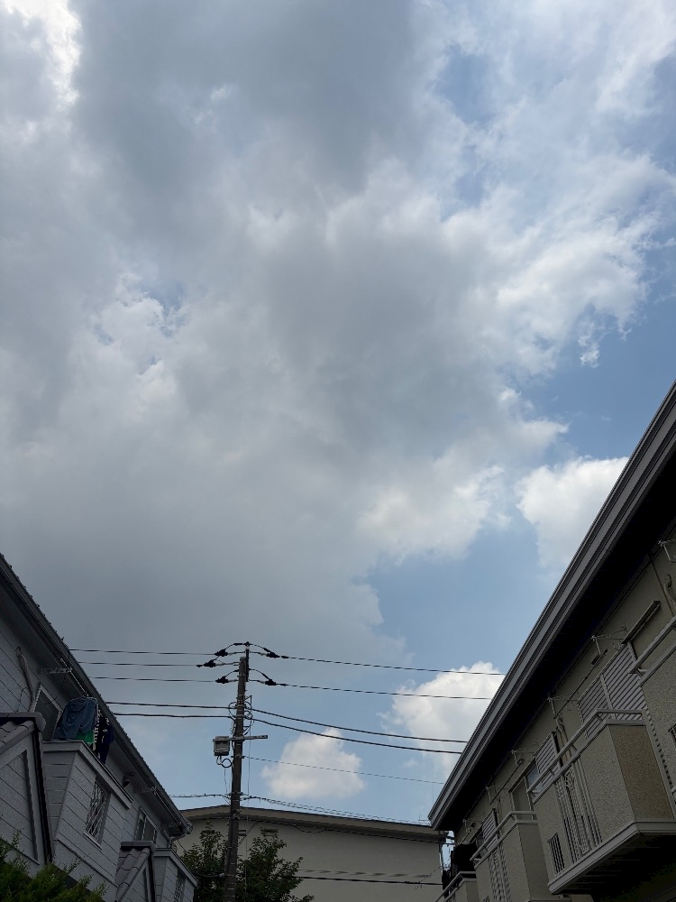ゆうな