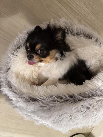 Premier日記1561564