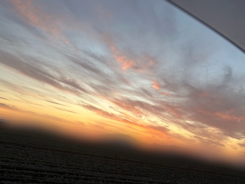 Bar Lounge 莉音　彦根駅前店日記1554714