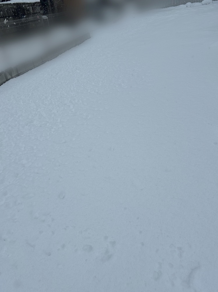 朝方からの雪かしら、、、🤔