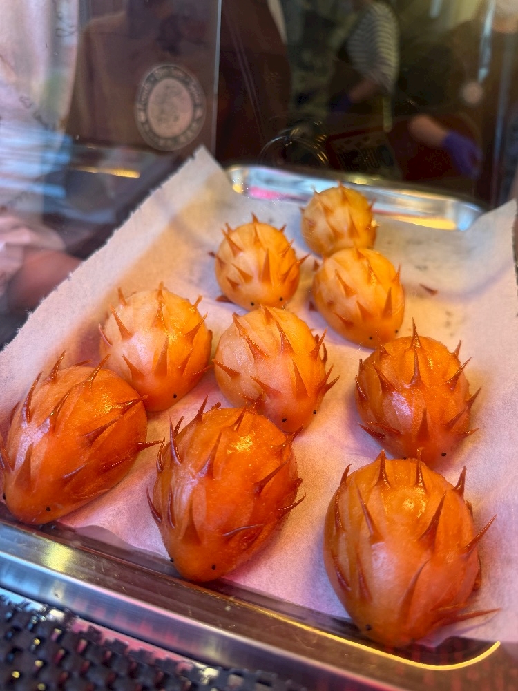 一条 葵