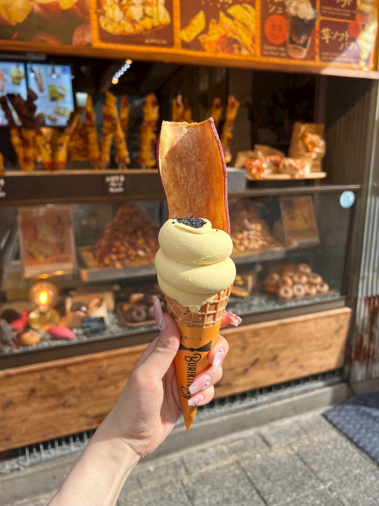 一条 葵