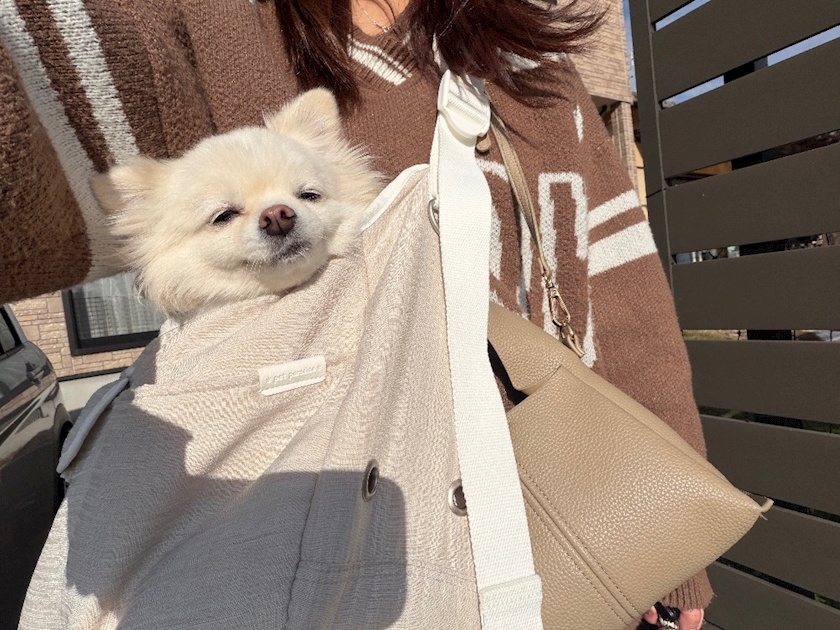 LOUNGE FOXI日記1538506