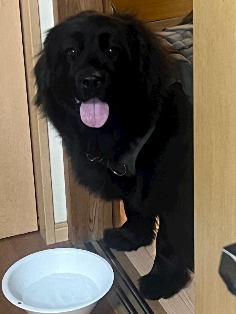 Lounge L’Atelier日記1605271