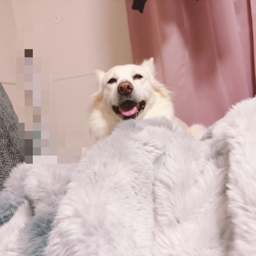 クラブグリム・小牧店日記1588149