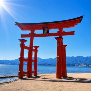 一条 葵